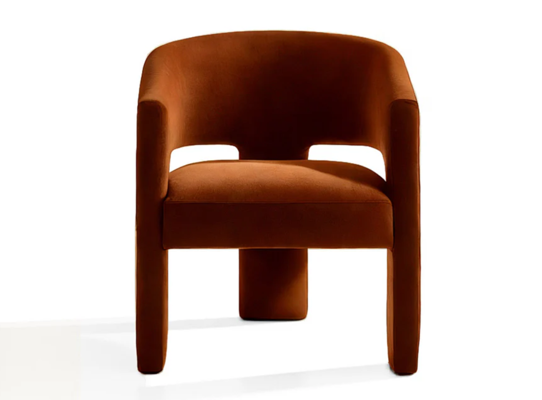 Delhi Dining Chair thumbnail 2